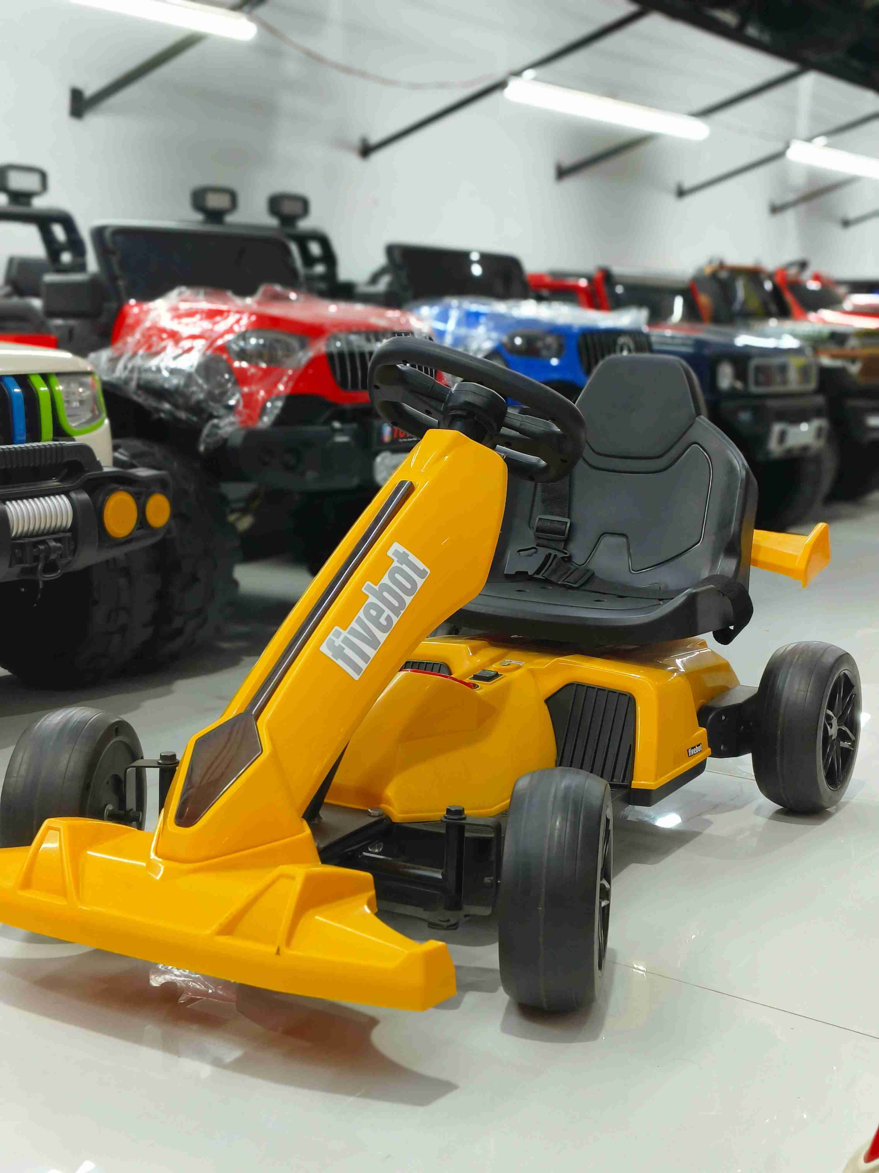 Formula 1 Race Ride on